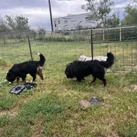 processed/7d6f99b0-51bc-41cf-b64a-e4b383602d74/facility/4a7b0ae0-ca18-4800-8b24-b18d82418bf1