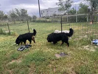 processed/7d6f99b0-51bc-41cf-b64a-e4b383602d74/facility/4a7b0ae0-ca18-4800-8b24-b18d82418bf1