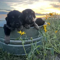 processed/7d6f99b0-51bc-41cf-b64a-e4b383602d74/facility/7c55173b-5f0e-4335-b5cd-c0dc3f59f4e0