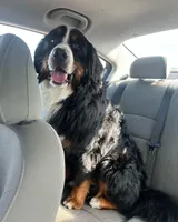 processed/7d6f99b0-51bc-41cf-b64a-e4b383602d74/facility/9a559f0a-4c5b-4b75-acb0-c6a093e53490