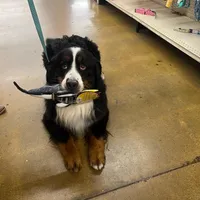 processed/7d6f99b0-51bc-41cf-b64a-e4b383602d74/facility/9ea65a6c-c1d6-4e22-b314-72ad624110bf