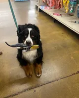 processed/7d6f99b0-51bc-41cf-b64a-e4b383602d74/facility/9ea65a6c-c1d6-4e22-b314-72ad624110bf