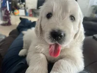 processed/7d6f99b0-51bc-41cf-b64a-e4b383602d74/listing/733448fd-612e-4ec3-a795-47bac147ee6f/5bb6034b-b521-4b95-962c-9f41bc024795