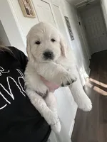 processed/7d6f99b0-51bc-41cf-b64a-e4b383602d74/listing/733448fd-612e-4ec3-a795-47bac147ee6f/813695e5-0519-419b-bd5d-7dad50f8d2b6