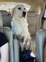 processed/7d6f99b0-51bc-41cf-b64a-e4b383602d74/listing/733448fd-612e-4ec3-a795-47bac147ee6f/b3d03fe5-0f0f-4bb1-baf8-25df82221f2c