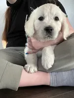 processed/7d6f99b0-51bc-41cf-b64a-e4b383602d74/listing/733448fd-612e-4ec3-a795-47bac147ee6f/b97ab657-9114-4f79-99a0-e14d3b553ecf