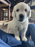 processed/7d6f99b0-51bc-41cf-b64a-e4b383602d74/listing/a215ef72-922b-4168-a565-87dc72a17f51/0c7767ce-f7db-464a-84dd-fb5ee4bfdfde