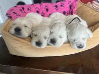 processed/7d6f99b0-51bc-41cf-b64a-e4b383602d74/listing/a215ef72-922b-4168-a565-87dc72a17f51/12c349ed-9b6b-4772-bdc4-122077c36288