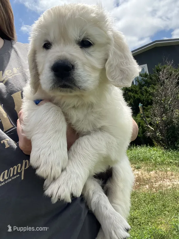 Pumpkin & Patch Coming Soon