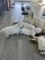 processed/7d6f99b0-51bc-41cf-b64a-e4b383602d74/listing/a215ef72-922b-4168-a565-87dc72a17f51/b9921ec5-e7c2-44f8-b59d-8a3858f610ff