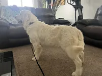 processed/7d6f99b0-51bc-41cf-b64a-e4b383602d74/listing/a215ef72-922b-4168-a565-87dc72a17f51/c1664d26-1c79-40a0-98f1-8b79a7706ca3