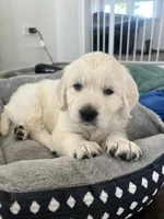 processed/7d6f99b0-51bc-41cf-b64a-e4b383602d74/listing/a215ef72-922b-4168-a565-87dc72a17f51/cc06533b-1aea-4bf3-b8b5-0040242b97f3