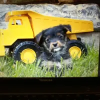 processed/7d77e7b9-c5c3-4885-beca-d4dbde21734e/facility/342a9cb6-acf5-404e-83e8-7f003bc1de66