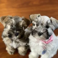 processed/7d78fb4e-17c3-4549-b4cd-72b80796dd88/facility/0e1974f7-1ec2-4fad-9538-d543433067cd