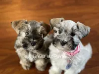 processed/7d78fb4e-17c3-4549-b4cd-72b80796dd88/facility/0e1974f7-1ec2-4fad-9538-d543433067cd