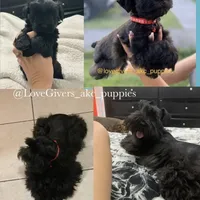 processed/7d78fb4e-17c3-4549-b4cd-72b80796dd88/facility/3a58fc2a-e191-4fb2-9753-9aa69f3977c2