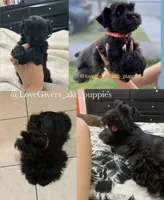 processed/7d78fb4e-17c3-4549-b4cd-72b80796dd88/facility/3a58fc2a-e191-4fb2-9753-9aa69f3977c2