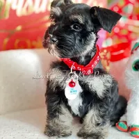 processed/7d78fb4e-17c3-4549-b4cd-72b80796dd88/facility/6fd88353-0828-40d9-bb32-0cce8dae380c