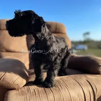 processed/7d78fb4e-17c3-4549-b4cd-72b80796dd88/facility/748a336d-2036-4382-85b3-b42450d433f1