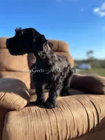 processed/7d78fb4e-17c3-4549-b4cd-72b80796dd88/facility/748a336d-2036-4382-85b3-b42450d433f1