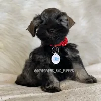 processed/7d78fb4e-17c3-4549-b4cd-72b80796dd88/facility/8102b62c-2ba9-45ad-b8ad-fcb8eb088c9a