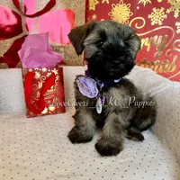 processed/7d78fb4e-17c3-4549-b4cd-72b80796dd88/facility/9030ce3d-86e4-4cf6-a0b9-7701640511c6