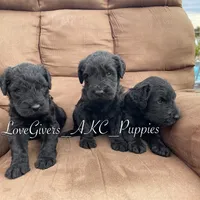 processed/7d78fb4e-17c3-4549-b4cd-72b80796dd88/facility/9390069b-a10d-41d6-bb77-ed65541f0dc4