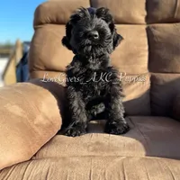 processed/7d78fb4e-17c3-4549-b4cd-72b80796dd88/facility/bc2bda30-3197-4485-be6c-7fac50231c72