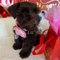 processed/7d78fb4e-17c3-4549-b4cd-72b80796dd88/facility/c5551dcd-fe4c-4c74-9d8e-6805654729b3