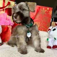 processed/7d78fb4e-17c3-4549-b4cd-72b80796dd88/facility/ce88d13f-1137-4355-a412-dba4fbc934e6