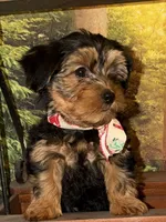 processed/7d98be05-2aaa-461d-b739-65a0ddfb8f01/listing/45e46c88-5e7e-4641-b3b1-63bcaa94a22b/007257bf-988a-48e0-b817-75739ea34221