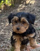 processed/7d98be05-2aaa-461d-b739-65a0ddfb8f01/listing/45e46c88-5e7e-4641-b3b1-63bcaa94a22b/68a8fe2d-3160-4db8-b59b-e6e844361506