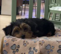 processed/7d98be05-2aaa-461d-b739-65a0ddfb8f01/listing/45e46c88-5e7e-4641-b3b1-63bcaa94a22b/83cf2af2-2e7b-487b-a516-d19fd5d783c4