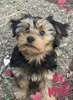 processed/7d98be05-2aaa-461d-b739-65a0ddfb8f01/listing/45e46c88-5e7e-4641-b3b1-63bcaa94a22b/a5f9e253-a2ec-4932-ab38-d793c1bdda48