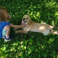 processed/7d9bdc62-0979-4ccd-9018-77b8c0381d9b/facility/b1c1ef47-fdf0-4f0b-91ed-c95d8c3807c7