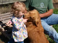 processed/7d9bdc62-0979-4ccd-9018-77b8c0381d9b/facility/d5d0fd12-d7ea-4acb-972d-db8c5cf5c3f0