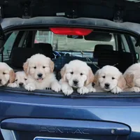 processed/7d9bdc62-0979-4ccd-9018-77b8c0381d9b/facility/dc639b97-e4eb-4664-8e18-71408a122a08