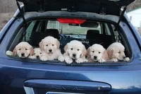 processed/7d9bdc62-0979-4ccd-9018-77b8c0381d9b/facility/dc639b97-e4eb-4664-8e18-71408a122a08