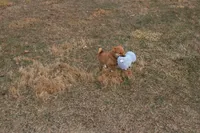 processed/7d9bdc62-0979-4ccd-9018-77b8c0381d9b/listing/19261e57-fdab-48ae-b8e7-19bddd73bbee/36963553-c024-4a89-9407-8e633cecd820