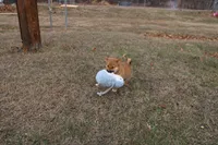 processed/7d9bdc62-0979-4ccd-9018-77b8c0381d9b/listing/19261e57-fdab-48ae-b8e7-19bddd73bbee/679ac008-d4fa-40e9-8186-e11263f870e4