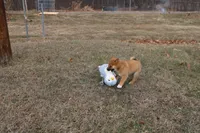 processed/7d9bdc62-0979-4ccd-9018-77b8c0381d9b/listing/19261e57-fdab-48ae-b8e7-19bddd73bbee/75c5588c-1842-45e4-8397-1207861cf6c7