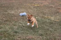 processed/7d9bdc62-0979-4ccd-9018-77b8c0381d9b/listing/19261e57-fdab-48ae-b8e7-19bddd73bbee/e7aab663-91fe-47bd-9975-d2b04426cf07