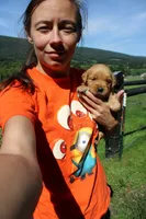 AKC Bonnie, a female Golden Retriever for sale in New Bloomfield, PA – 7 of 10