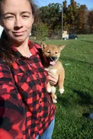 Charmeleon , a female Shiba Inu for sale in New Bloomfield, PA – 2 of 10
