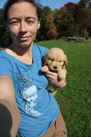 Mandy, a female Golden Retriever for sale in New Bloomfield, PA – 1 of 10