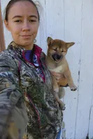 AKC Memory, a female Shiba Inu for sale in New Bloomfield, PA – 6 of 10
