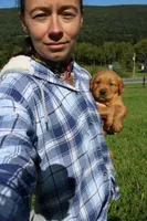 AKC Snappy, a male Golden Retriever for sale in New Bloomfield, PA – 2 of 8