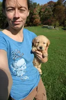 AKC Powerpuff, a female Golden Retriever for sale in New Bloomfield, PA – 5 of 9