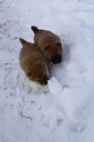 processed/7d9bdc62-0979-4ccd-9018-77b8c0381d9b/listing/d5aab1ce-9b4b-4a23-897a-479911882d23/0e30e111-4838-4d6b-be5f-9d787453457b