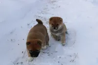 processed/7d9bdc62-0979-4ccd-9018-77b8c0381d9b/listing/d5aab1ce-9b4b-4a23-897a-479911882d23/21faa2a4-0a77-4a00-b9da-4feb3e9759bc